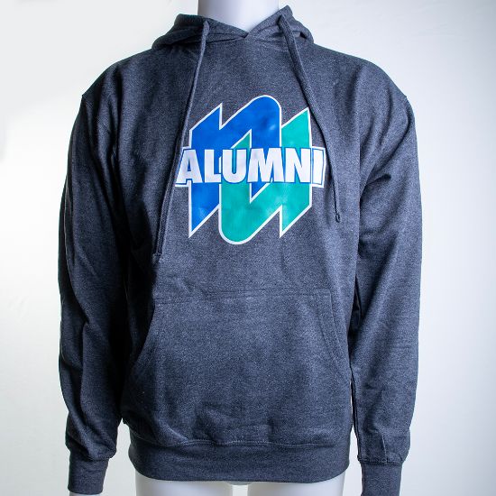 Unisex Alumni Hoodie - Charcoal